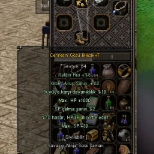  5 efsun +7 cennet bilenzik 10 büyü 10 HP absord 1k HP